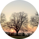 Bild des Benutzers franziska_71