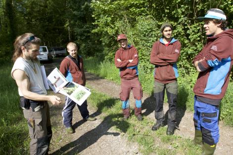 Naturnetz Nordostschweiz