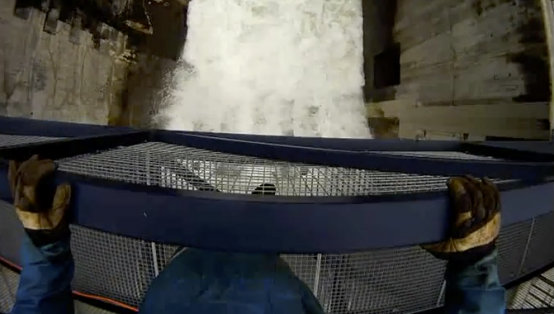 Aus der Sicht eines Neofighters