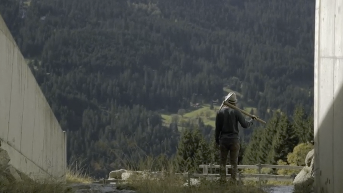 Neophytenbekämpfung